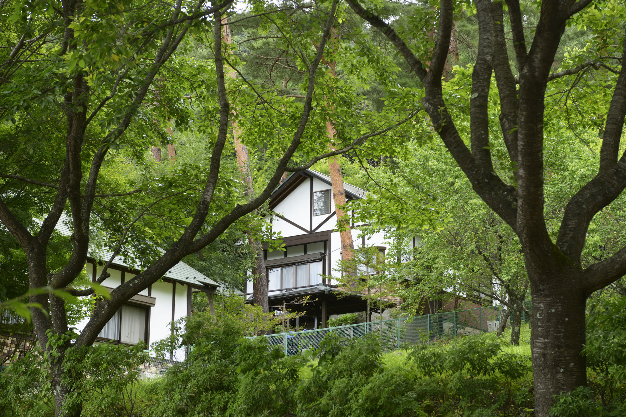 Kawaguchiko Country Cottage Ban Fujikawaguchiko Exterior foto